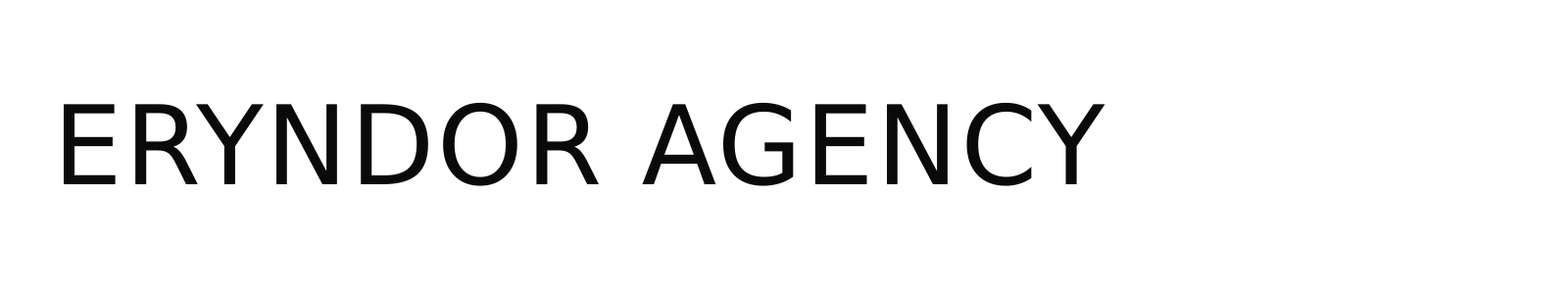 ERYNDOR AGENCY LLC